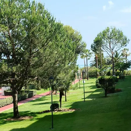 Premium Un Alcaudon Isla Canela