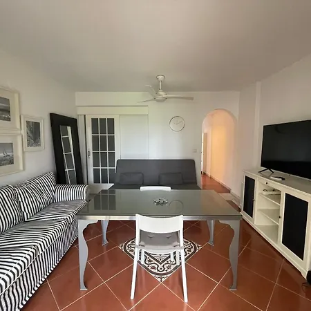 Premium Un Alcaudon Isla Canela